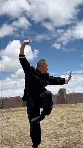 Chang Quan (长拳) Shaolin Long Fist Basics | Power, Speed & Flexibility Training