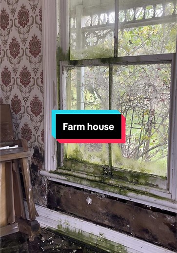 Exploring an Abandoned Farmhouse Near Auckland