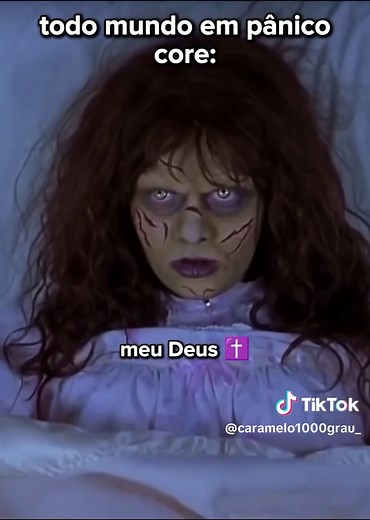 Todo Mundo em Pânico Core Memes Engraçados