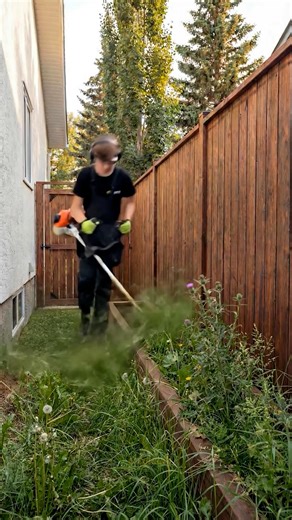 Turning a Narrow Side Yard Into a Stunning Modern Garden Oasis | DIY & Crafts