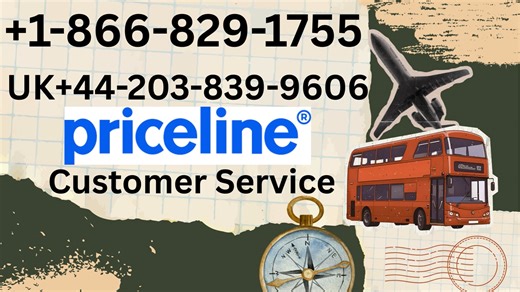 33 Ways To Access Priceline customer service By Phone, Chat, And Email: A Step-by-step Guide