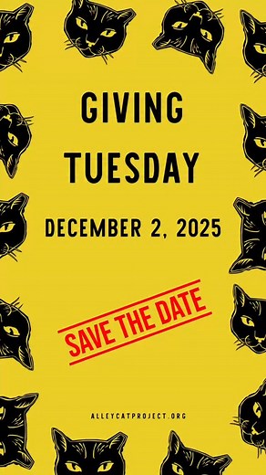 ‼️Kendrick Purrmar is making great progress after his FHO surgery!...