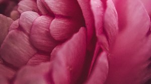 Venus at the Heart of the Sun — The Goddess is Reborn — Horoscopes for All 12 Signs