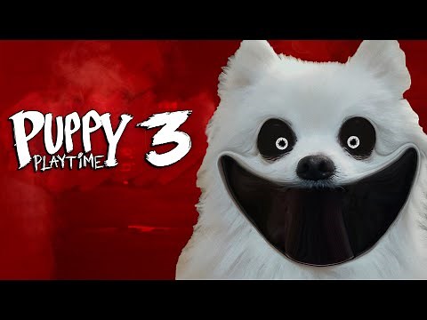 Puppy Playtime 3