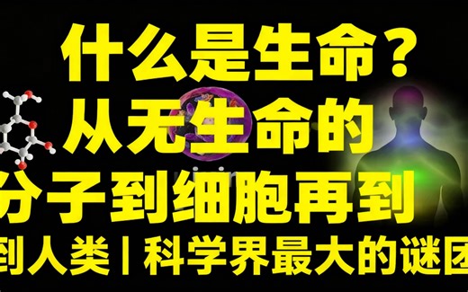 [熟肉]什么是生命？从无生命的分子到细胞再到人类 | 科学界最大的谜团 - Science Simplified 4 All