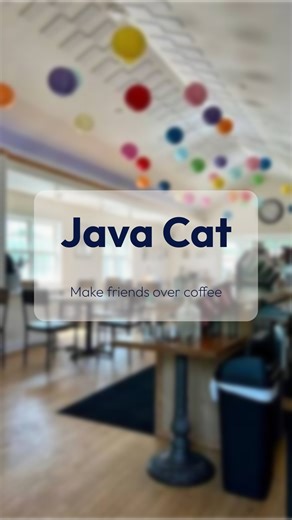 Mesh - the in-person app on Instagram: "Java Cat has that classic neighborhood coffee shop feel — quiet, friendly, and just the right amount of cozy. ☕️ It’s the kind of place where regulars know each other, the baristas remember your drink, and you can sit with a latte without rushing through your morning. The space is simple but inviting, with steady coffee and a calm vibe that makes it easy to hang out, read, or meet someone new. It fits perfectly with what we’re building at Mesh. Thousands o