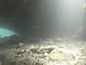 Octopus diving chapter 2