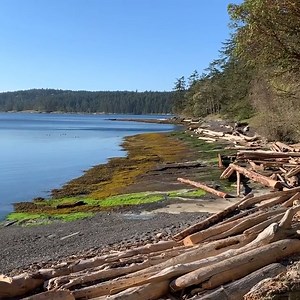 When you get to enjoy the dog park views all to yourself. 🐕 🌊 📍 Gabriola Island 📹 La Belle Vie Bed & Breakfast & Wellness We're excited to be able to welcome back Vancouver Island residents to our community. As part of BC's Restart Plan, recreational travel within your health region is allowed as of May 25, 2021. This means vacations, weekend getaways and tourism activities are good to go. | Tourism Nanaimo