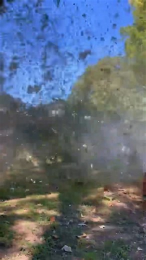 1.1K views · 12 reactions |  Slider Tree Service  Dropping big trees with power & precision!  Ready to clear your space? Call us! #TreeRemoval #SliderTreeService | Slider Tree Service | Facebook