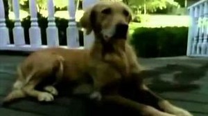 Goosebumps Full Intro!