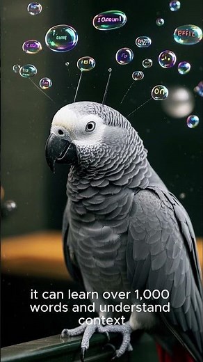 Top 3 Smartest Birds You Can Own