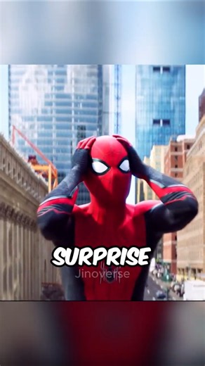 Why Do Spiders Have EIGHT Eyes? 🕷️👀