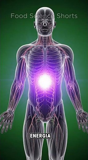 🚨 Açaí no Corpo Humano: O Que Realmente Acontece Após Cada Gole?
