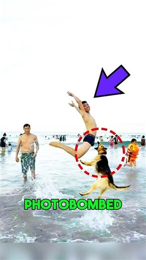 The Funniest Perfectly Timed Photos Ever!😂#shorts