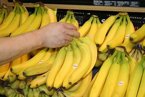 Limits on Assets When Applying for Food Stamps | Sapling