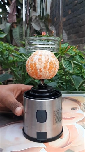 3 Oranges vs Mini Blender 🍊 Satisfying ASMR #fruitydrinks #orangedrink