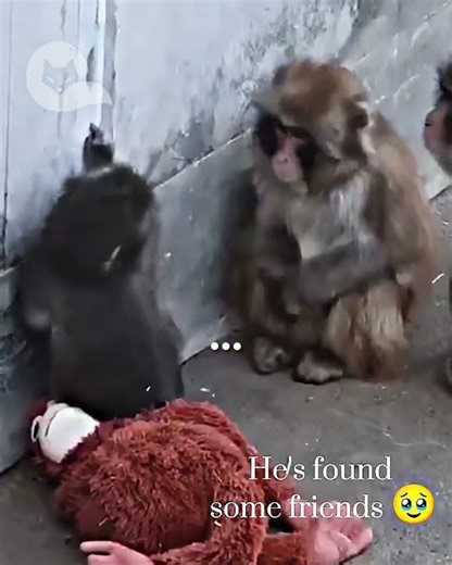 Creo que LO LOGRO 🥹 #mrrelevante #momentostristes #culturapop