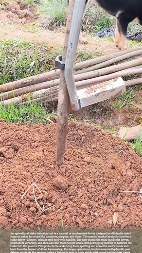 Planting stake insertion aid, a helpful tool for easy stake insertion.