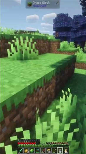 Found a Bugged Honey Tree in Cobblemon #minecraft #shorts