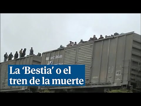 La 'Bestia', el tren que transporta cada día a miles de migrantes a la frontera con Estados Unidos