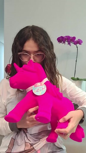 Meu Troféu Unicórnio do Programa da Maisa ♡♡