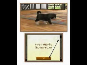 nintendogs + cats Gameplay Footage