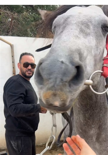 ِبسْمِ الله مَا شَاءَ اللهُ تَبَارَكَ الرَّحْمٰن #استعداد_الفنان #الشاب_بشير #cheb_bechir