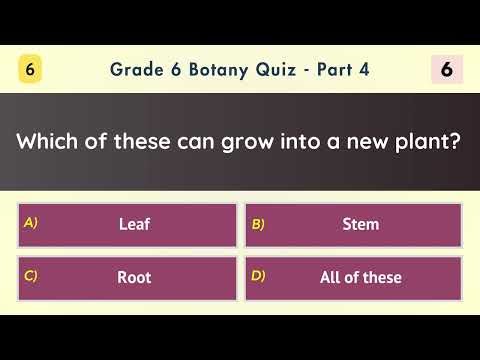Grade 6 Botany Quiz - Part 4/10 | Practice 10 MCQs on Plant Parts, Photosynthesis & Seed Science