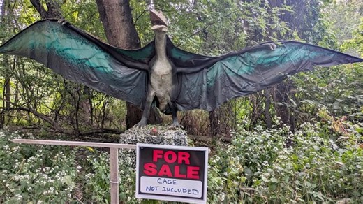 Dinosaurs for sale on Facebook Marketplace in New Jersey