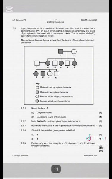 Life Sciences Revision for Grades 10-12: Question Papers