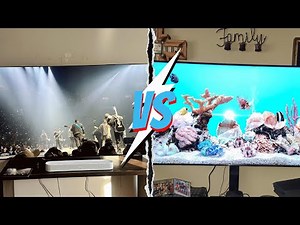 Oled VS Qled TV. Which one should you choose?