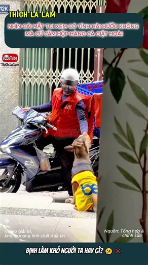 SHIPPER NHÂY NHẤT VŨ TRỤ 📦🐶 | #thichlalam #shipper #choquao #shorts