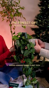 For the new plant parents, the plant-killers & everyone in between. Willow makes plant care easy — and Christmas gifting even easier. One sensor = thriving plants without the guesswork. | Willow