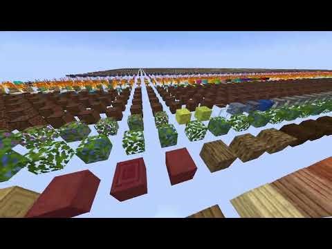 Minecraft Debug World (1.19)