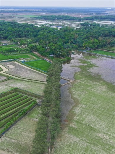 প্রকৃতি দেখলেই মন শান্ত 🌿 Dji Air 3s Drone View #drone #viralvideo #trending #dronevideo #tiktok