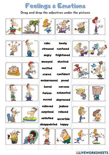 Feelings and emotions online exercise for A2