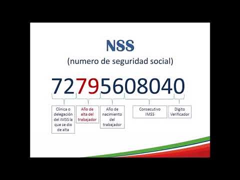 ¿Cómo se conforma el Número de Seguridad Social (NSS) del IMSS?