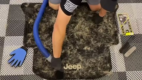 Buff Brite Pet Grooming Tool Fur-EEL FANG PRO Cat & Dog Hair Remover, Black