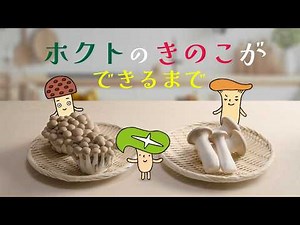 ホクトの工場見学 きのこができるまで
