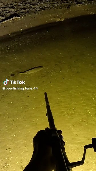 Blowgun fishing second view! #fishing #bowfishing #carp #carpfishing #blowgun #bwfilms #bw #blowdart #bow #archery #fyp #foryoupage#trending #fish #gar