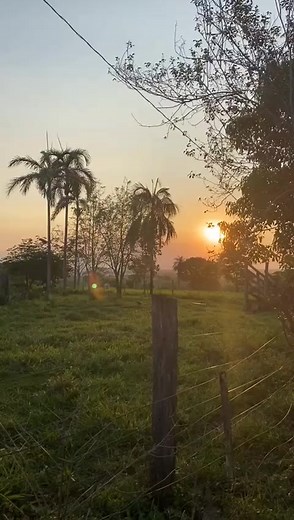 #freeenergy #energyfree #eletricidade #nikolatesla #gerador