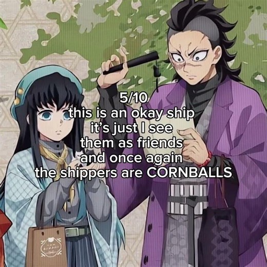 I hate these ships argue with a wall🥺#demonslayer #helpmemakethismakesense #anime #kimetsunoyaiba