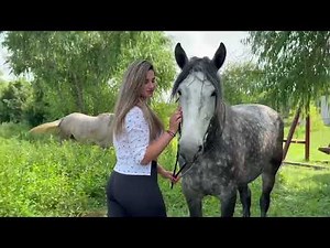 Horse And Hot Girl Video | XXX Video |