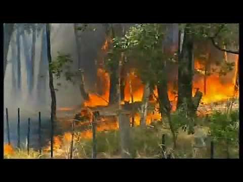The 2009 Black Saturday Bushfires (Australia)