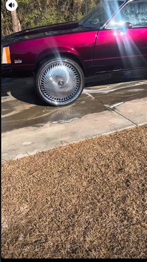 Pressure 🔥🔥🔥🔥 | Chris Nash