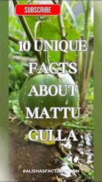 10 UNIQUE FACTS ABOUT MATTU GULLA #alishasfactjunction #MattuGulla #UdupiCuisine