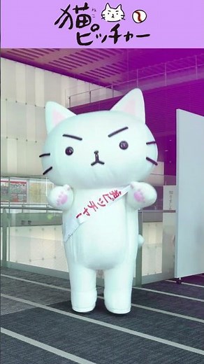 [No. 1] Mi-taro the Cat Pitcher takes on Radio Calisthenics No. 1! #Shorts