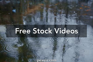 Lake Fishing Videos, Download The BEST Free 4k Stock Video Footage & Lake Fishing HD Video Clips