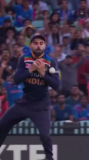 Cricket Catch Out Rule Explained in Telugu | ICC Official Rules