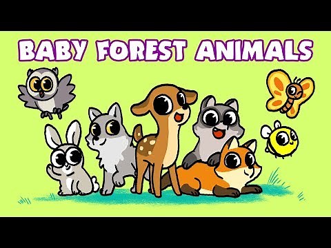 Learn Wild Animals | Baby Animal Names | Newborn Forest Babies | Wildlife video for Kids